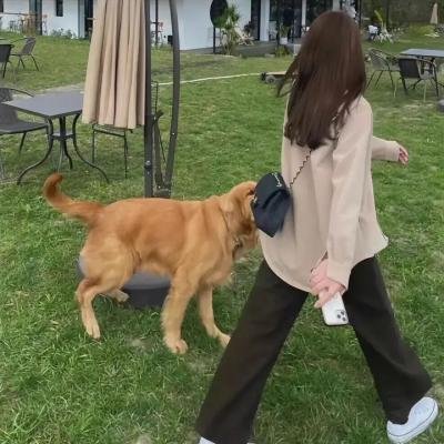 秋想和春一起吃饭